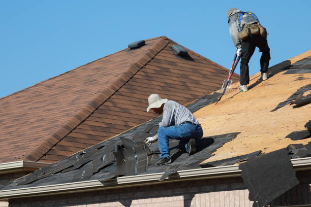 Best Roof Moss and Algae Removal  in Rancho Cordova, CA